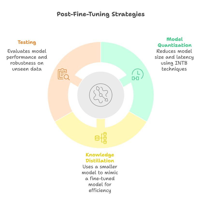 Post-Fine-Tuning Strategies